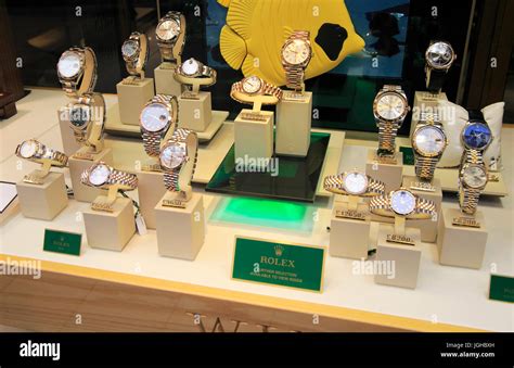 rolex watches in norwich